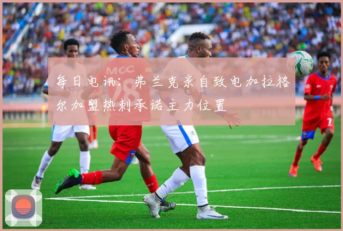 每日电讯：弗兰克亲自致电加拉格尔加盟热刺承诺主力位置