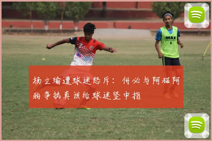 杨立瑜遭球迷怒斥：何必与阿猫阿狗争执真该给球迷竖中指